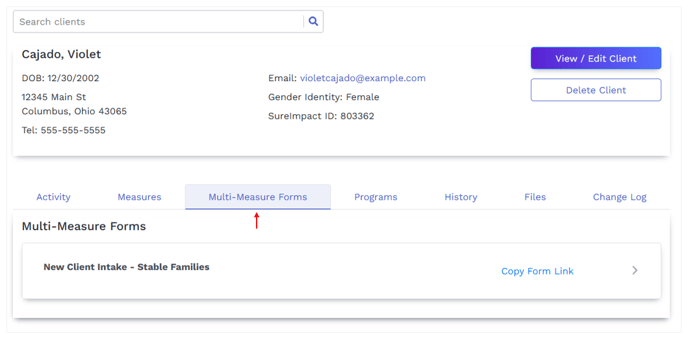 Multi-Measure Form Within Client Record