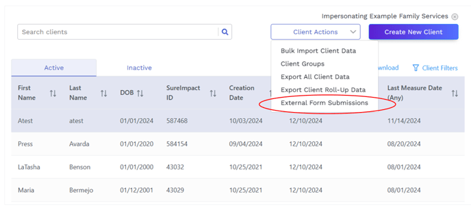 Select External Form Submissions in the Client Tab Drop-Down Menu